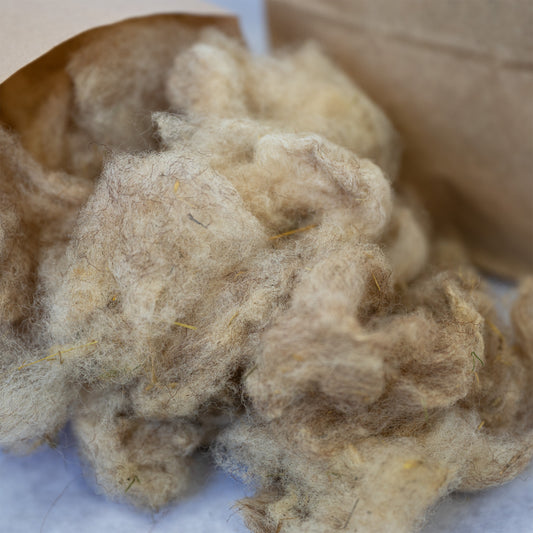 Rohwolle vom Coburger Fuchsschaf