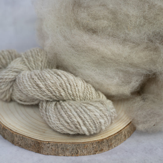 Vlies Schafwolle Coburger Fuchs/Merino