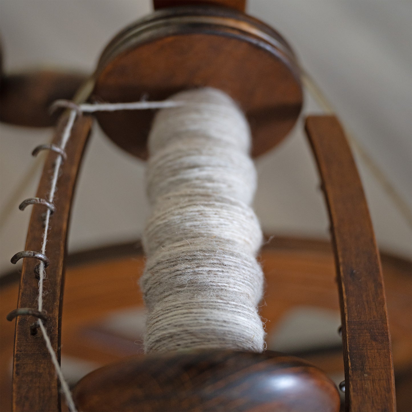 Vlies Schafwolle Coburger Fuchs/Merino