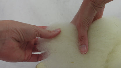 Vlies Texelschaf